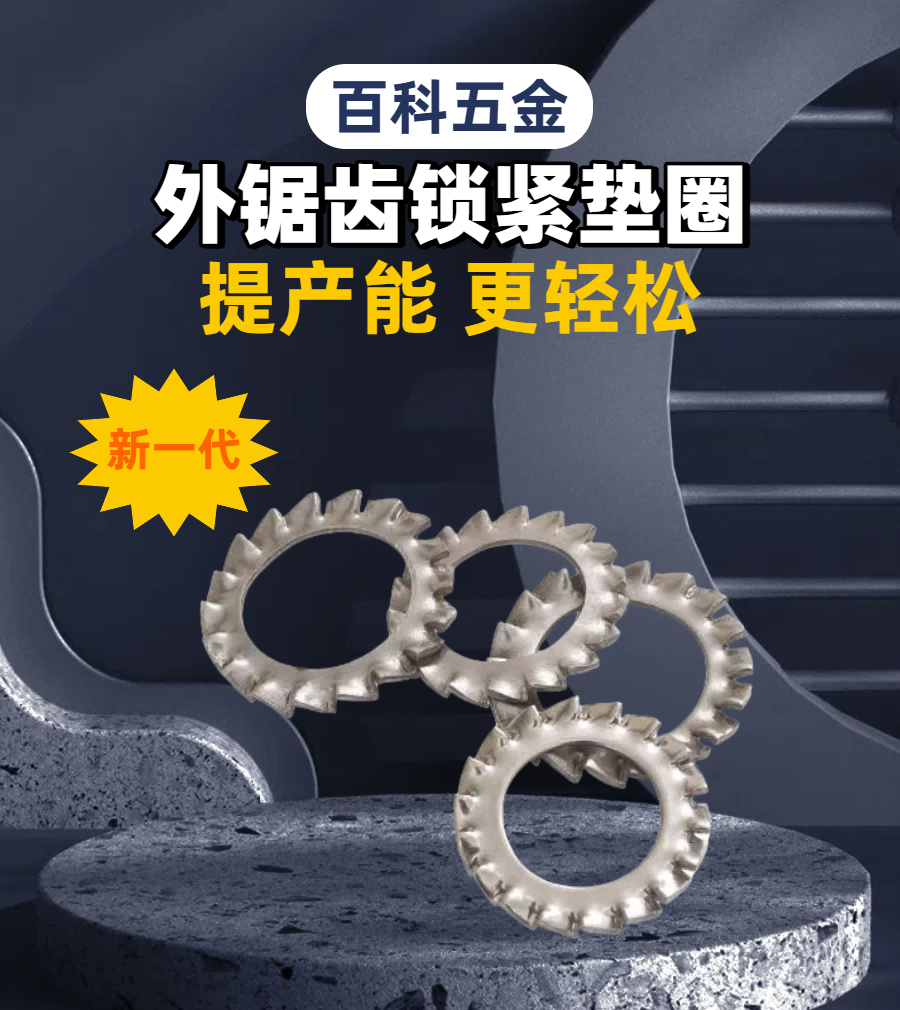 01外锯齿垫圈详情.png