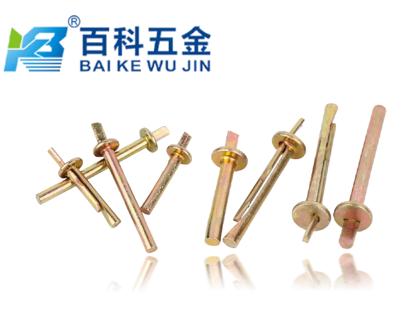 插片壁虎钉的优缺点有哪些？百科五金深度解析