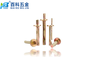 插片壁虎属于机械式锚栓还是化学锚栓？百科五金实用解答